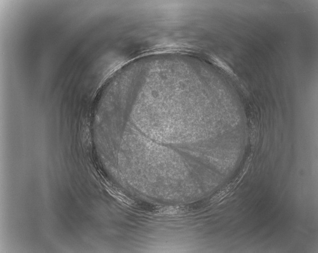 X0000052971259200508051005