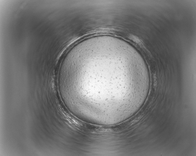 X0000052971260200508051005