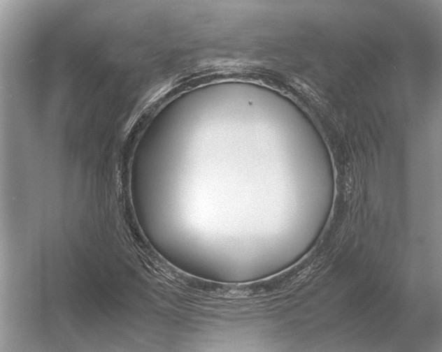 X0000052971261200508051005