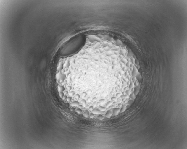 X0000052971263200508051005