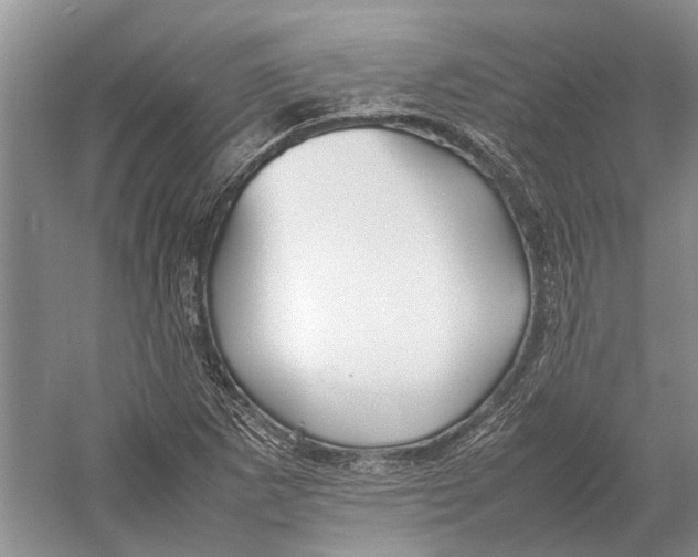 X0000052971265200508051005