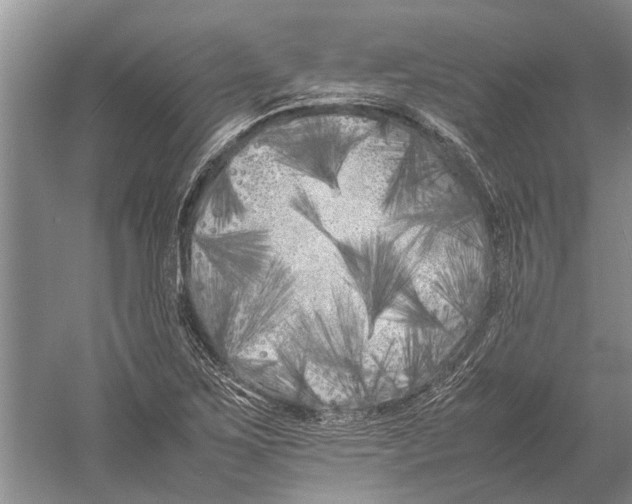 X0000052971267200508051005