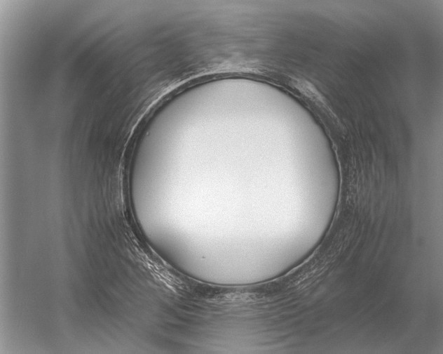 X0000052971268200508051005