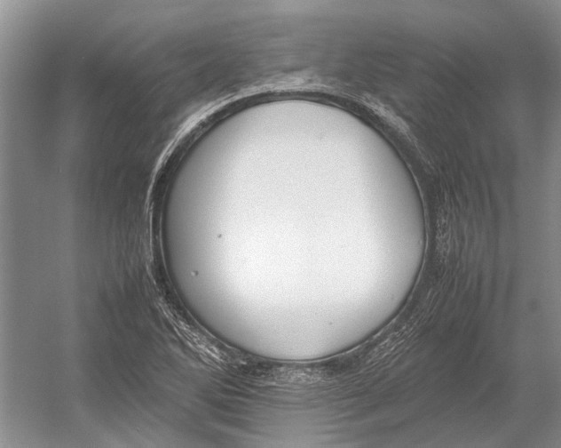 X0000052971270200508051005