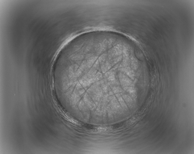 X0000052971271200508051005