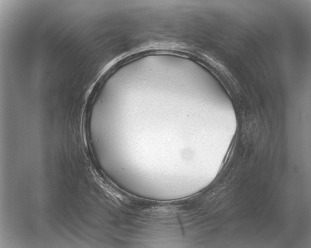 X0000052971272200508051005