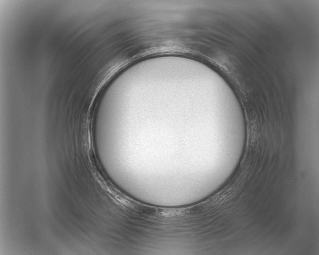 X0000052971274200508051005