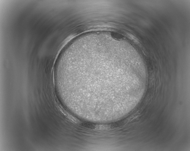 X0000052971275200508051005