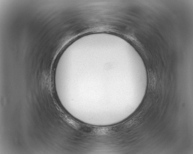 X0000052971278200508051005