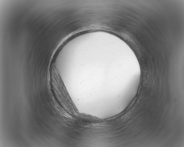 X0000052971280200508051005