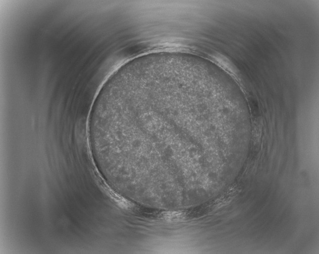 X0000052971283200508051005