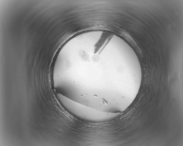 X0000052971284200508051005