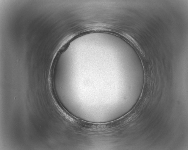 X0000052971285200508051005