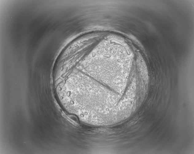 X0000052971287200508051005