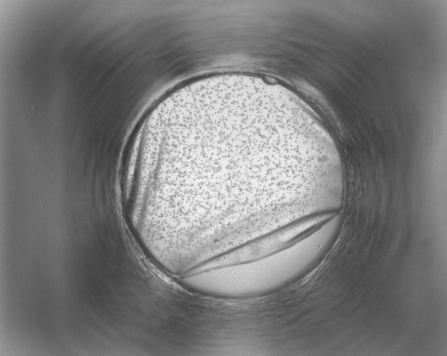 X0000052971288200508051005