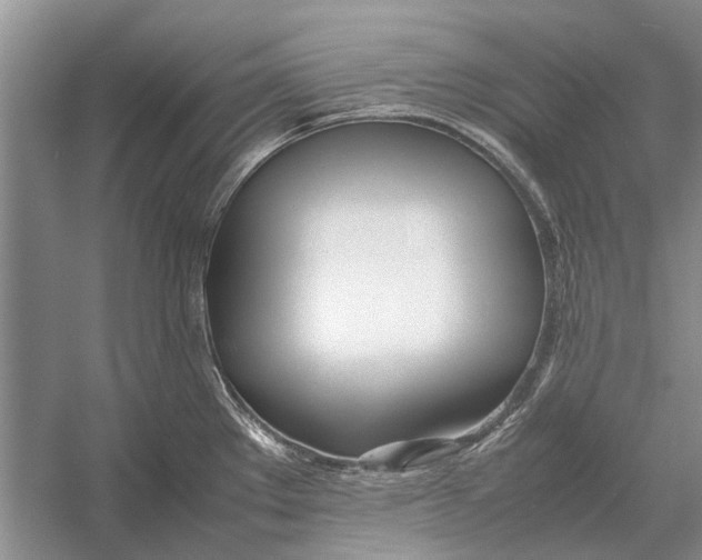 X0000052971289200508051005