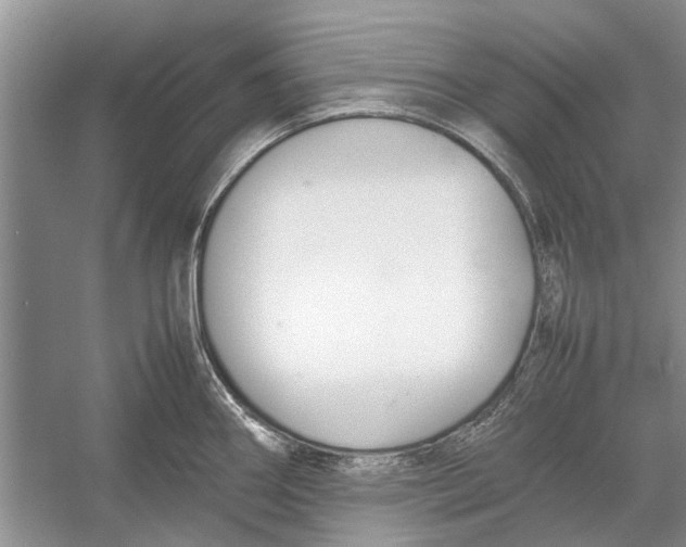 X0000052971290200508051005