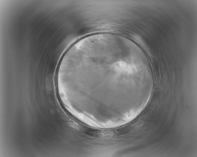 X0000052971291200508051005