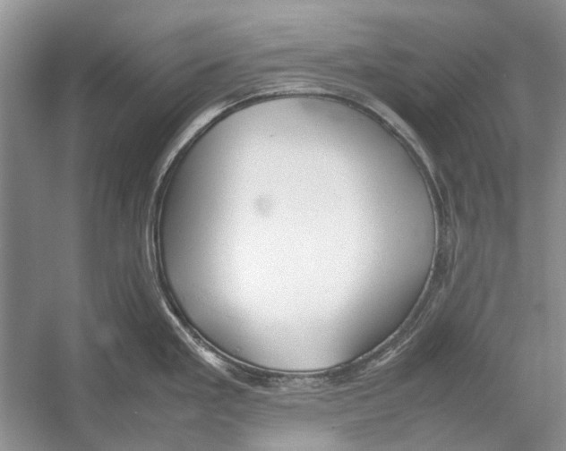 X0000052971293200508051005