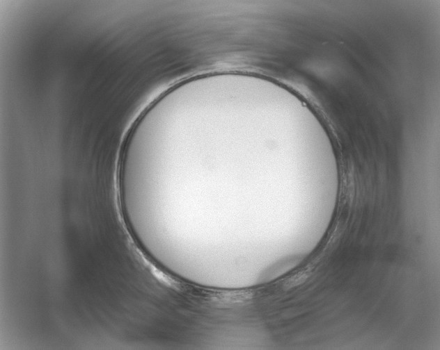 X0000052971294200508051005