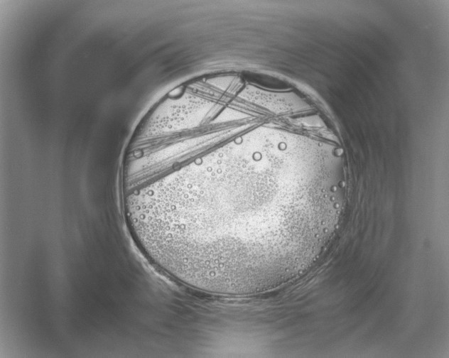 X0000052971295200508051005