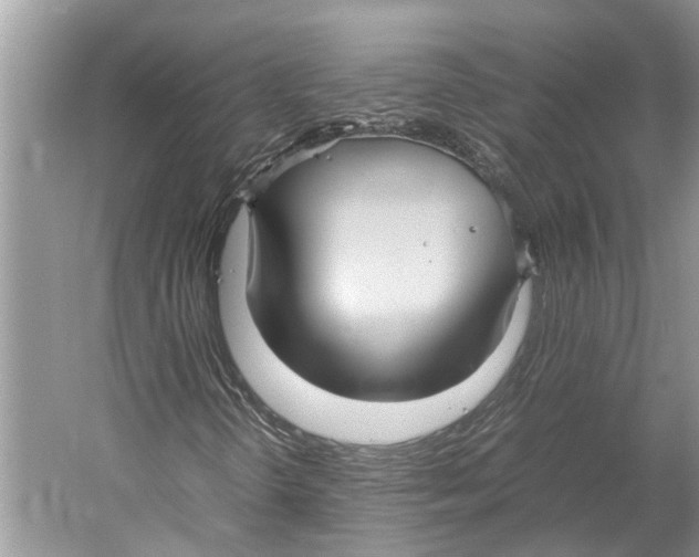 X0000052971298200508051004