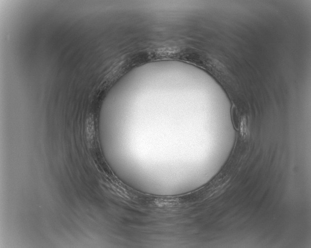 X0000052971299200508051004