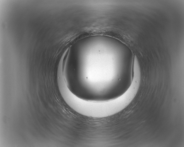 X0000052971300200508051004