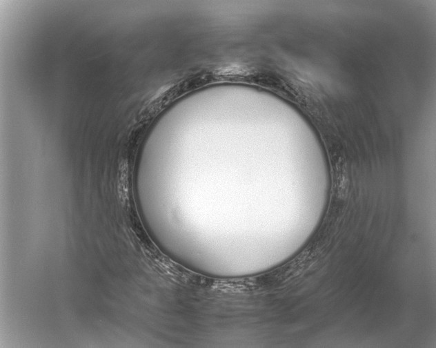 X0000052971301200508051004