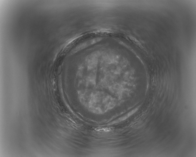 X0000052971303200508051004