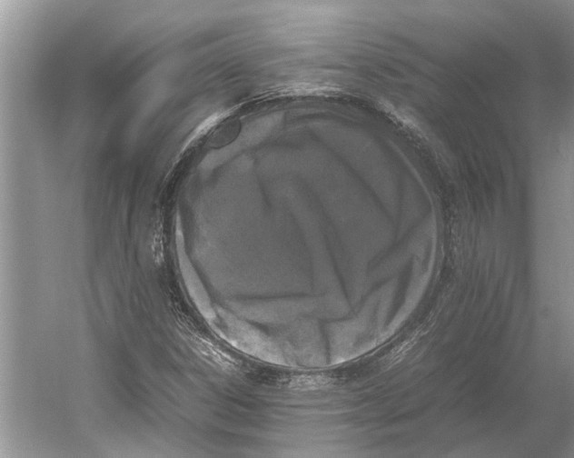 X0000052971306200508051004