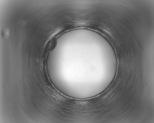 X0000052971309200508051004