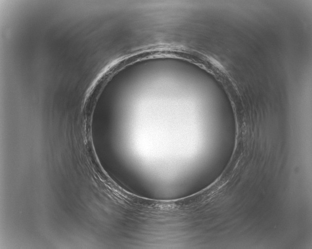 X0000052971310200508051004