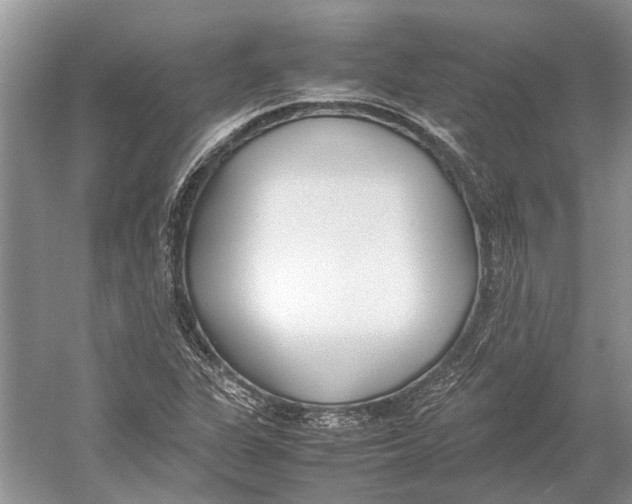 X0000052971311200508051004