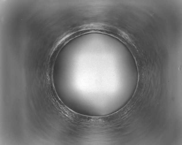 X0000052971312200508051004