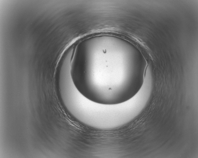 X0000052971316200508051004