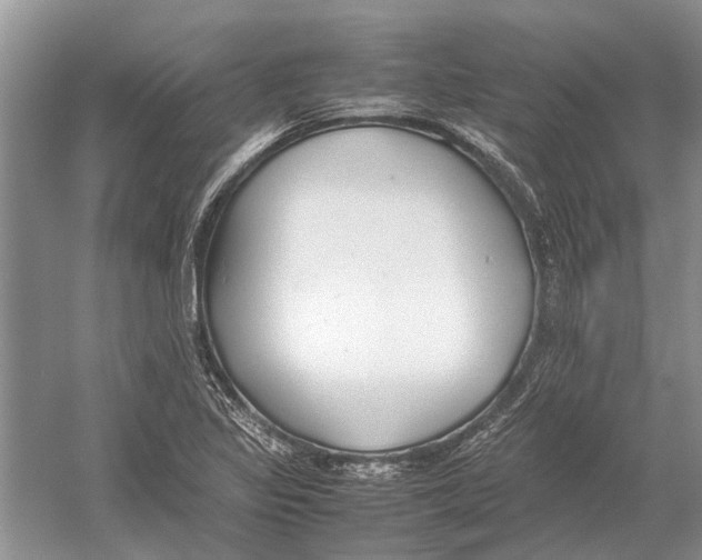 X0000052971317200508051004