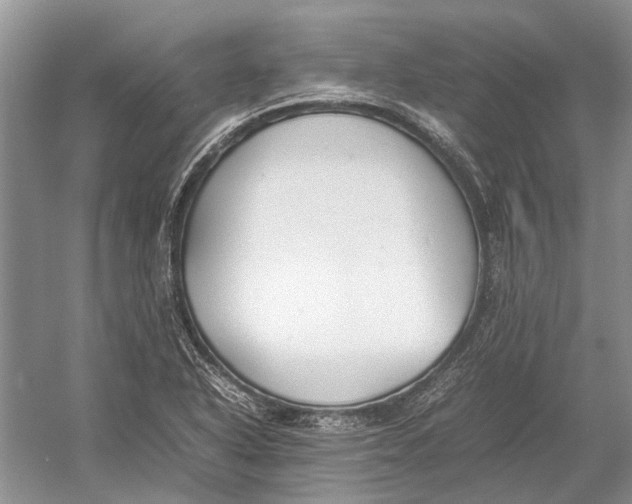 X0000052971318200508051004