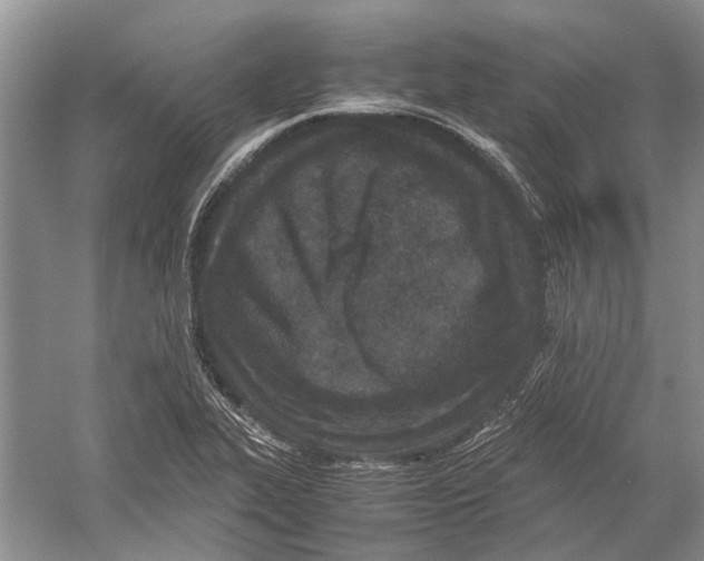 X0000052971319200508051004