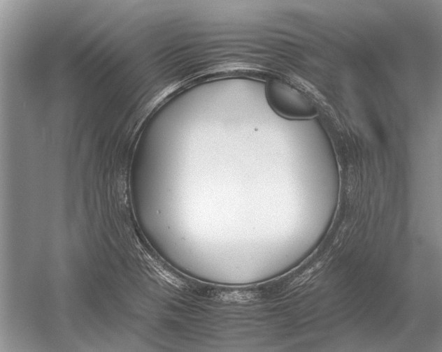 X0000052971321200508051004