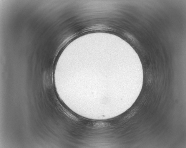 X0000052971322200508051004