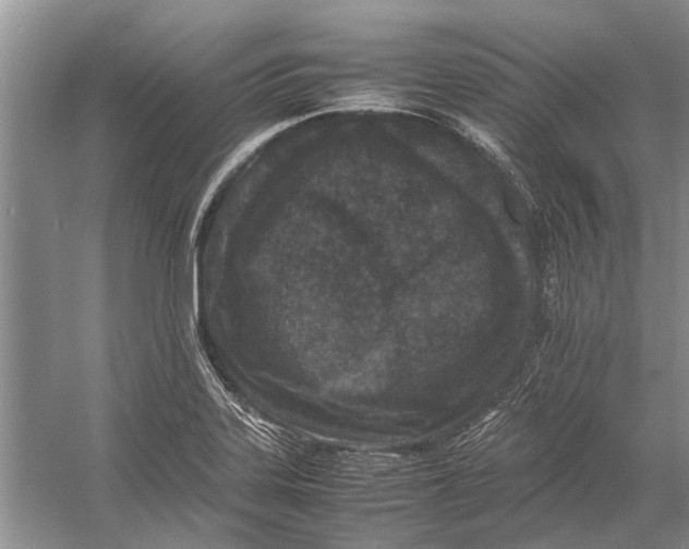 X0000052971323200508051004