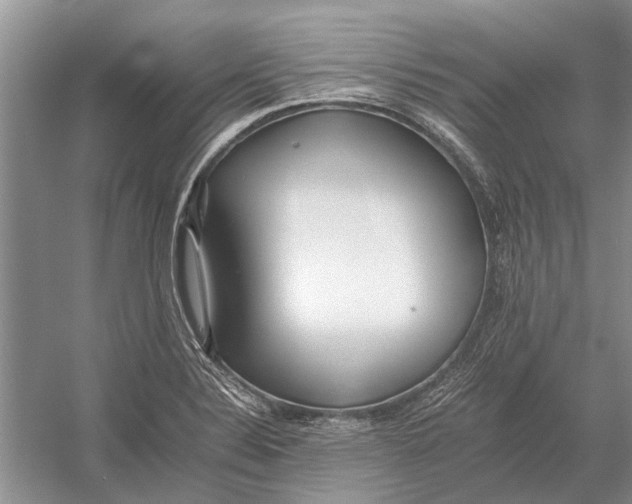 X0000052971324200508051004