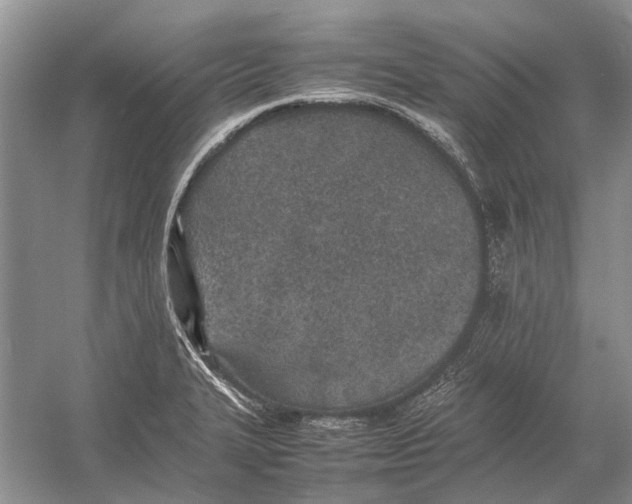 X0000052971327200508051004