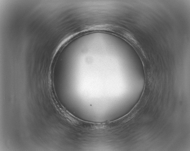 X0000052971328200508051004