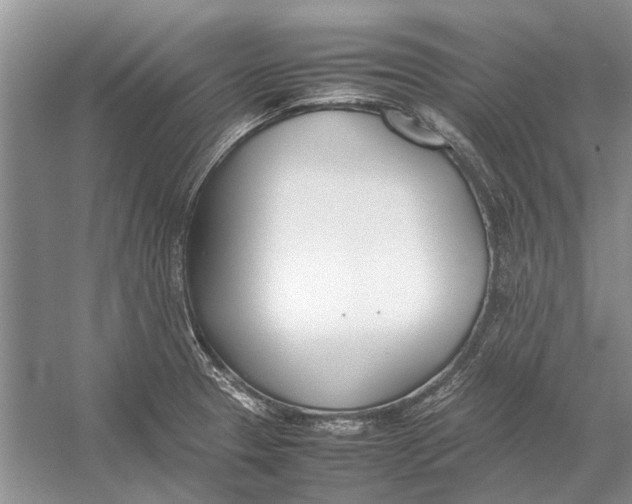 X0000052971329200508051004