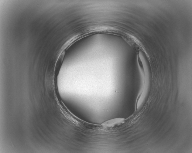 X0000052971330200508051004