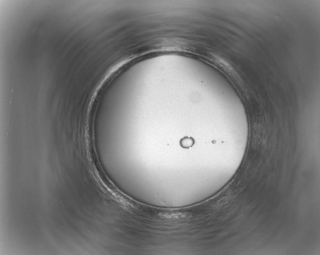 X0000052971331200508051004