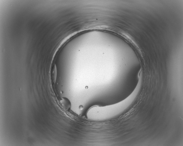 X0000052971332200508051004