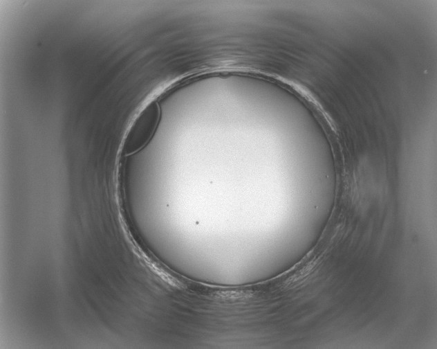 X0000052971333200508051004